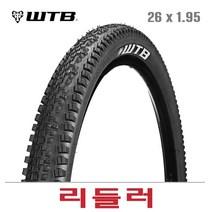 WTB 리들러 26인치 1.95 타이어 산악자전거 클린처 와이어