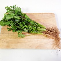 고수 1단 300g 고수풀, 단품