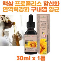 액상 프로폴리스 항산화 구강항균 면역력높이는영양제 남녀노소 프로폴리스효과 구내염 항균작용 플라보노이드 항균 구강항균작용 입안헐었을때 프로폴리스효능 구내염, 1개