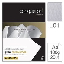삼원 콩코르 레이드 우브 CX22 L00 White A4 20매 팜플렛제작 종