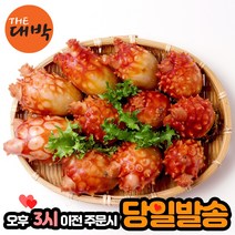 제철 활 멍게 생물 통영 꽃멍게, 1box, 꽃멍게 1kg