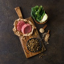 힐링펫 강아지사료 RESET 소고기사료 400g, 1개
