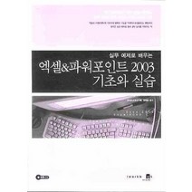 실무 예제로 배우는 엑셀&파워포인트 2003 기초와 실습, 아이워크북