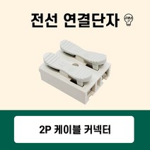 국산 커넥터 단자대 2P (안정기 콘덴서 연결단자), 01번 커넥터 단자대 2P