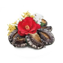 [전복어가돕기] 선물포장 완도구이용전복 꼬마전복1kg40-50미, 1개