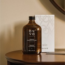 오브보 발향좋은 실내 디퓨저 방향제 250ml 1개, 코지냅