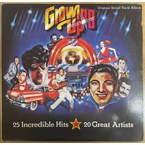 중고LP) Growing Up OST (그로잉 업 OST /1979) - 25 Incredible Hits 20 Great Artists (폴앵카 노래)