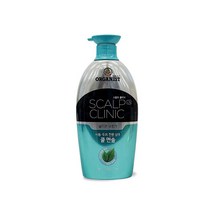스칼프 쿨멘솔샴푸 750ml 향 좋은 미용실 사춘기 청소년 헤어 두피 탈모 비듬 예방 방지 지성 극손상 여자 친구 생일 선물, 1, 본상품선택