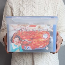 쿨맥시2 직사각 밀폐용기 54호 투명 12L