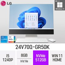 LG전자 24V70Q-GR50K 24인치 인텔 12세대 i5 Iris Xe Win11 Home 사무용 인강용 재택근무용 일체형 PC, 512GB, 8GB