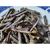 건조꼬리겨우살이 가지 300g 5만5천원