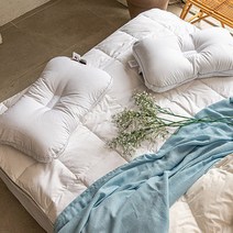 구스베개 1+1 프리미엄 구스 90 베개[낮은형]