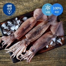 새우몰 국산 선동오징어 8-9kg 45-65미내외 채낚기 초코, 1개