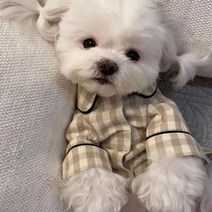 셀럽독 강아지 체크 잠옷 시밀러룩 커플룩 강아지 실내복 수면복 내복, 베이지