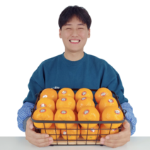 제주 스테비아급 고당도 사백향 남진향 귤로향으로도 불리는 카라향, 2kg / 소과 / 13~16과내외