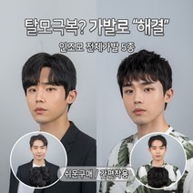 블링하이 ABC 전체가발 5종 쓰기쉬운 트렌디한 남자머리 패션가발 남자, 1개, 3. Z 스왈로펌  L 자연갈색