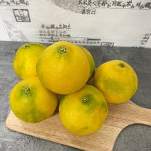 제주 황금향 2kg 소과 7-15과 가정용 흠과 신비향 수라향 설국향 불로초 하우스 노지