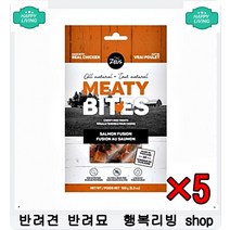 질투의화신 애완동물 서로뺐는 꿀잠방석 애완견방석 애완견하우스 비숑집 애완용품