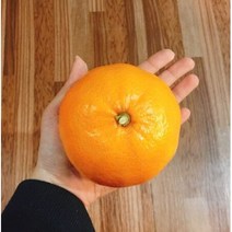 농장직송 제이블릭 제주 레드향 4.5kg 선물포장 당도보장 농장직송 레드향 카라향 홍매향 홍미향 고당도 15브릭스 선물용 가정용 연말선물 명절선물 설선물 임신 임산부 부모님 선물, 2. 10~14과 선물세트(특대)