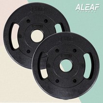 아리프 다이나믹 가성비 중량바벨원판 10kg 50mm 2입, 단품