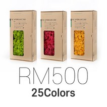 스칸디아모스 500g 실내공기정화식물 천연이끼 공예 액자 화분 만들기 재료, 퍼시픽그린