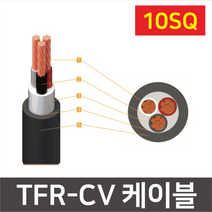 TFR-CV 케이블 전기선 전력선 전선 10SQ 1C 2C 3C 4C, [02] 10sq x  2 CORE
