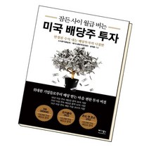 잠든 사이 월급 버는 미국 배당주 투자 / 베가북스, 없음