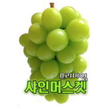 고당도 샤인머스켓 망고포도 천안 입장 포도 특상품 2kg 4kg, 1) 샤인머스켓 2kg 내외