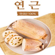 국내산 연근 흙연근 통연근 행사가, 1kg