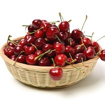 칠레산 미국산 워싱턴 고당도 프리미엄 생 체리 9.5R-10R 500g 1kg 2kg 항공직송, 프리미엄 생체리 500g 9.5R-10R, 1개