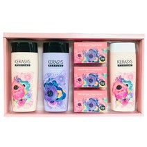 애경선물세트 케라시스 바디 샴푸 설 추석 셋트 명절 회사단체 ozinc*68268366eD, 1, 본상품선택