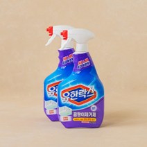 유한락스 곰팡이 제거제 900ML2, 2개