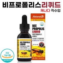 캐나다 비 프로폴리스 리퀴드 30ml 액상형 플라보노이드 항산화 구강 항균 작용 도움 Bee Propolis Liquid, 1개