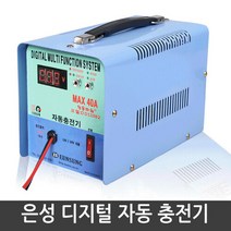 브랜드없음 은성 자동 배터리 충전기 DD-119B2 40A 12-24V 겸용, 단품없음