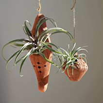 [여여화]토분 행잉플랜트 세로그라피카 조화 대형 틸란드시아 이오난사 디시디아 행인플렌트, 대형 달모양토분 이오난사