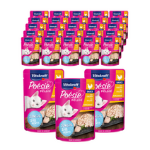 비타크래프트 고양이 포에시 델리스 85g x 23p, 치킨주니어소스, 2개
