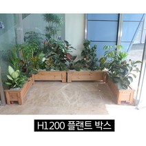 순둥이네화분 H1202 원목 실내용 플랜트박스/실내정원, 내추럴