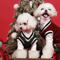 [크리스마스강아지니트] 강아지옷 강아지니트 강아지크리스마스옷 눈꽃 터틀넥, 레드_2XL