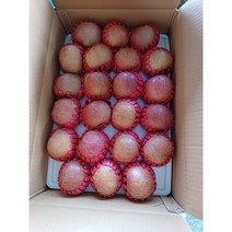 사과 경북사과 청도사과 10kg기준 젤 맛있고 저렴한 집, 소(10kg) 44~45개