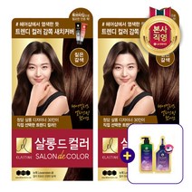 LG 생활건강 엘라스틴 살롱드컬러 짙은갈색_2개+닥터그루트 마이크로바이옴 샴푸6ml+트릿8ml 증정, 1세트