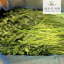 바르다야채 국내산 돌미나리 1kg 2kg 4kg