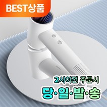 샤오미 생태계 로이드미 헤어 드라이기 드라이어, 화이트