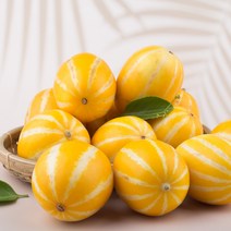 성주 산지 직송 꿀 참외 3kg 5kg 10kg 가정용 정품 직거래 박스 못난이 소과 로얄과 중과 박스포장, 3_1. 프리미엄 선물용 참외 2kg(6-9과)