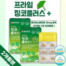 식약처 인증 은행잎 복합 영양제 30정 ﻿x 2박스 2개월분 . 11종 복합 기능성 건강기능식품 은행잎 추출물 아연 판토텐산 나이아신 비타민 B1 B2 B6 철 셀렌 망간, 1세트 ( 2통 )