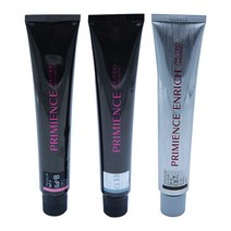 시세이도 프리미언스 엔리치 염색약 80g 산화제포함, 1개, 패션칼라(멋내기) O9