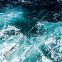 챕피쉬 스피닝 휴대용 한치 참돔 낚싯대 루어 낚시대