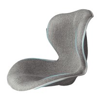 르밴드 허리 보호 자세보정의자 HS003, 그레이