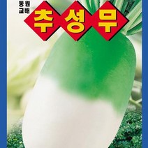 [가람종묘사] 추성무 씨앗(육질이 치밀하고 맛이 좋은 가을무 품종)