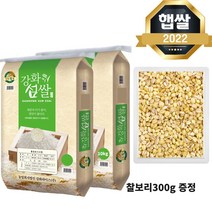 [찰보리 300g 증정] 22년 햅쌀 강화섬쌀 쌀 20kg(10kg 2개) 맛있는 상등급 쌀, 1개