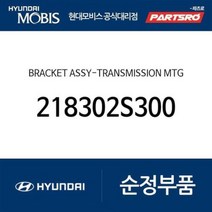 투싼IX 미션미미(트랜스미션 마운팅 브라켓) (218302S300) 스포티지R 투싼ix